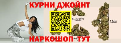 крисы Кинель