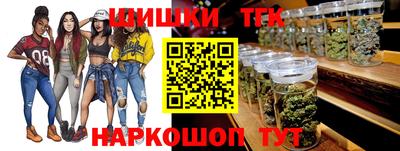 спиды Кингисепп
