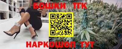 спиды Кингисепп