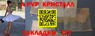 спиды Кингисепп
