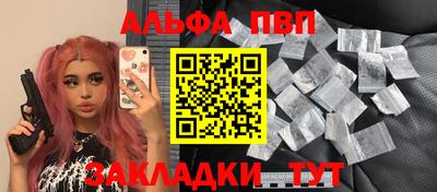 спиды Кингисепп