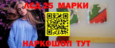 спиды Кингисепп