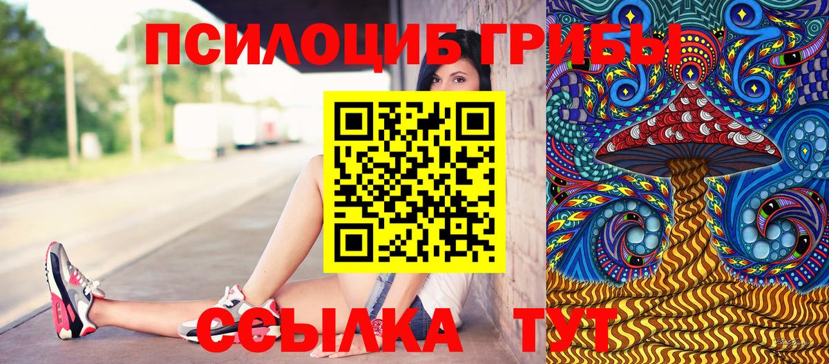 Галлюциногенные грибы Psilocybine cubensis Южноуральск