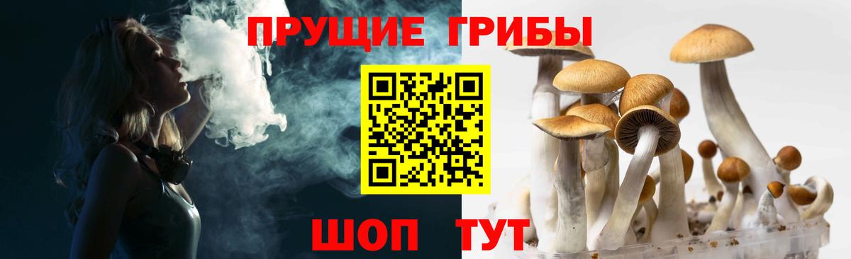 Псилоцибиновые грибы ЛСД Южноуральск